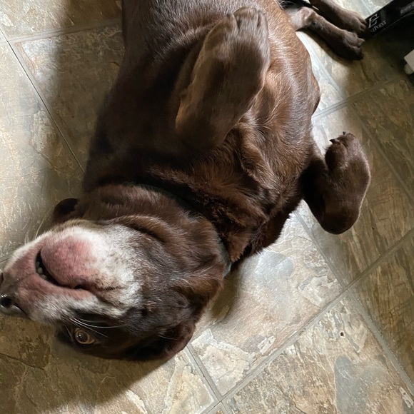 Meet your Posher, Emily - Picture 1 of 1